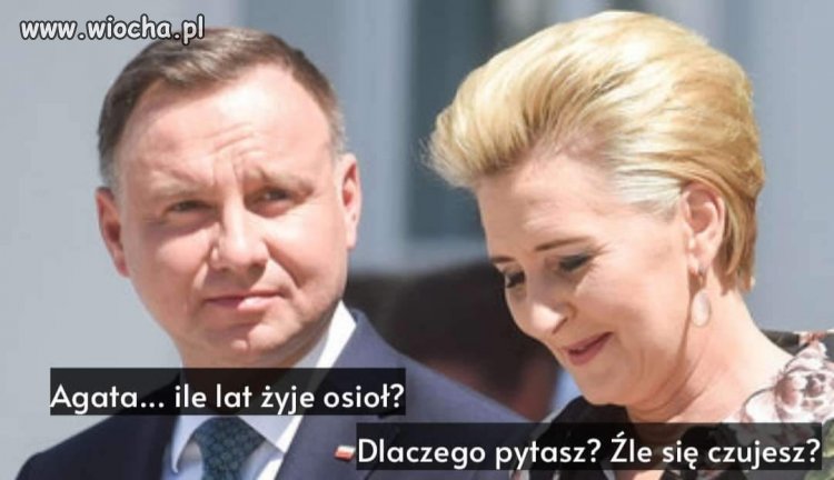 Anżej.