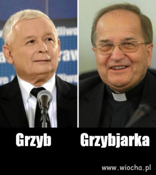 Warchoły Putina
