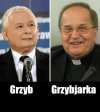 Warchoły Putina