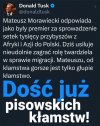 Pisowcy kłamali, kłamią i będą kłamać