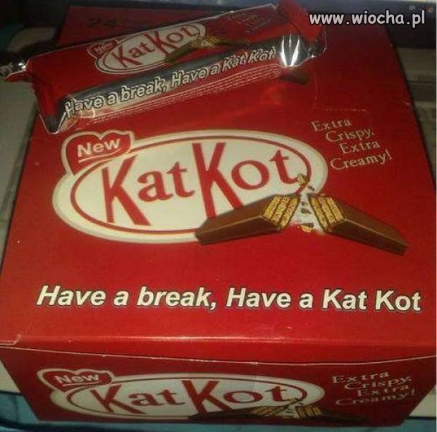Kat Kot.