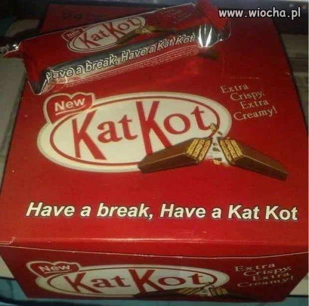 Kat Kot.