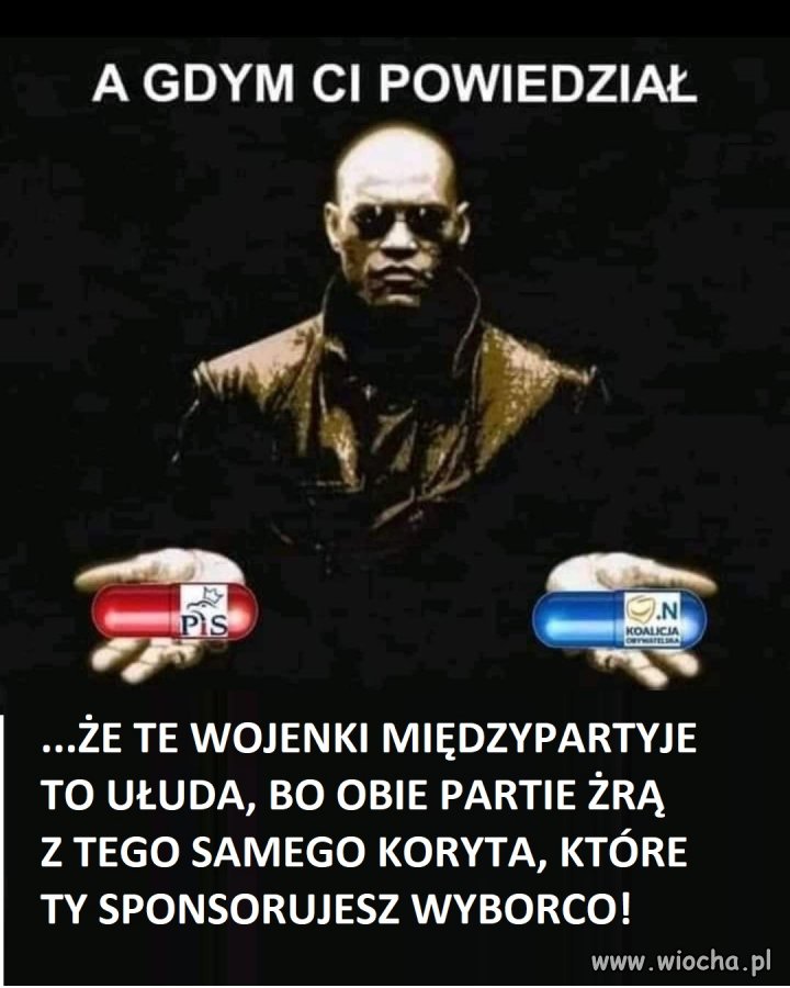 Konfederację mam tylko w czopkach doodbytniczych