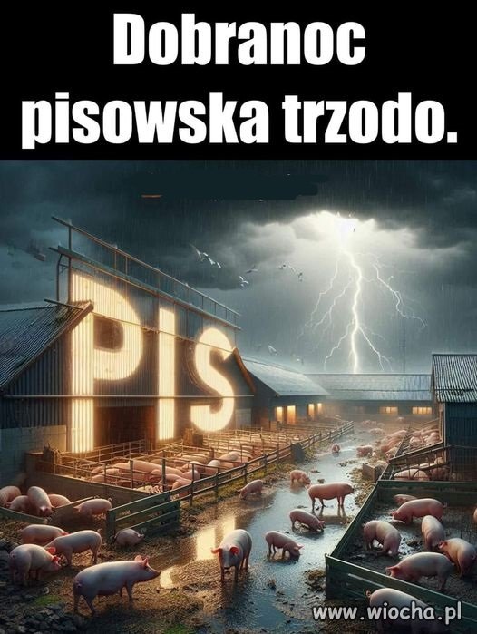 Pamiętamy o was