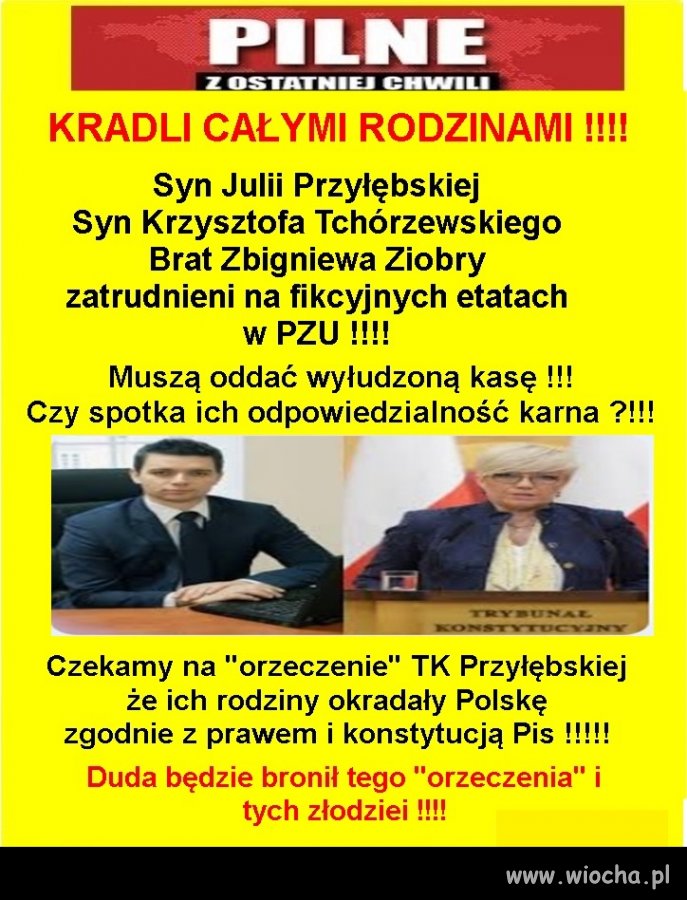 No co się czepiacie? Oni kradli zgodnie z ...