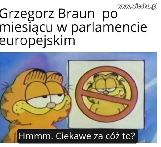 Tego się właśnie spodziewaliśmy