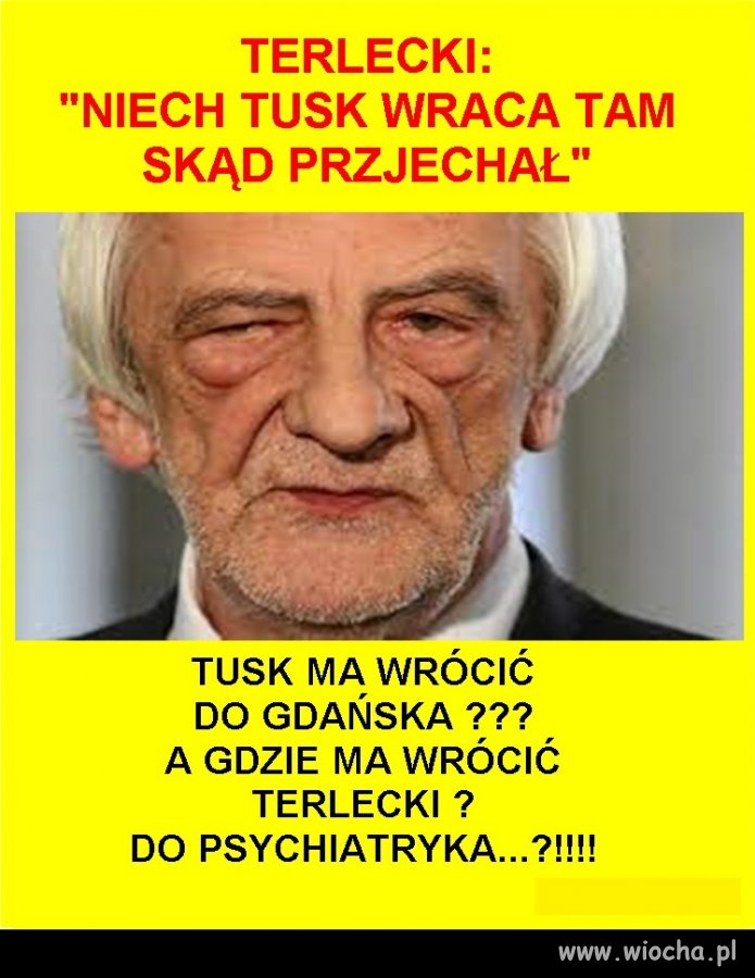 Czy do schroniska dla psów?