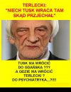 Czy do schroniska dla psów?