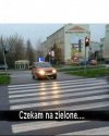 Nauka nie poszła w las.
