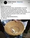 Koniec "Eldorado" sojuszu PiSu z sekta kościoła!