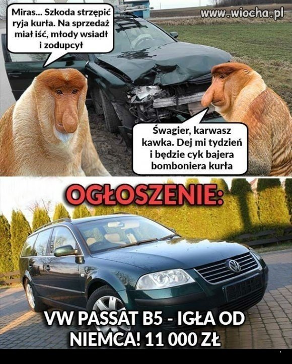 "Igła".