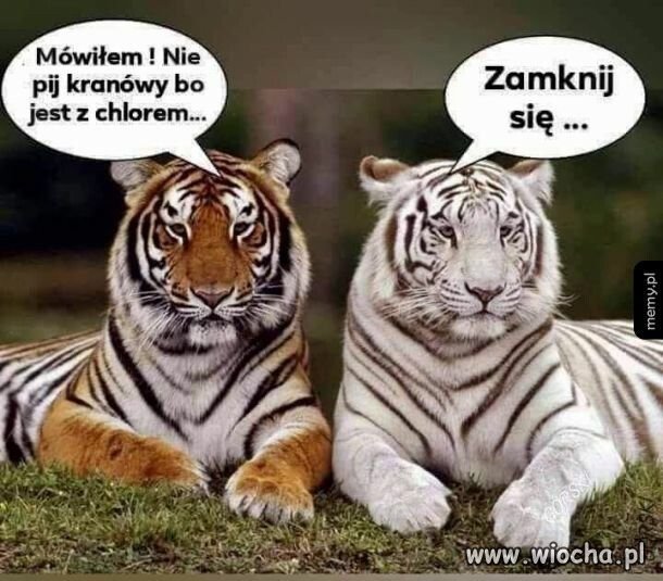 Chlor.