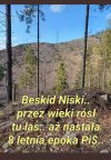 Zniszczyli wszystko