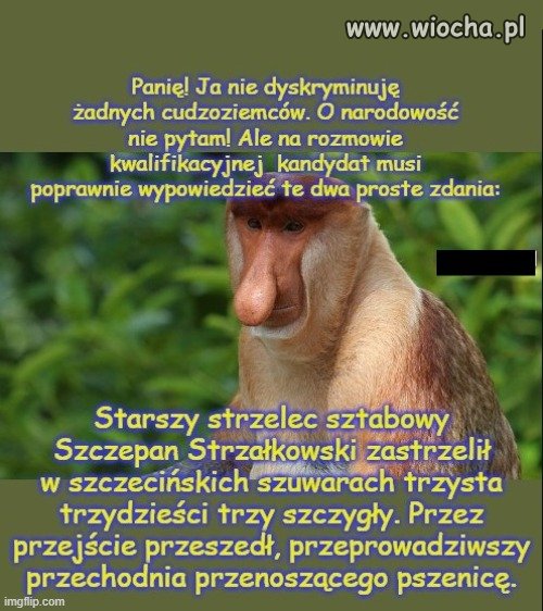 Rozmowa kwalifikacyjna