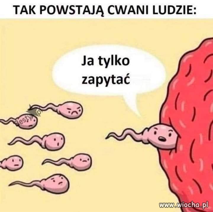 Jest tu jakiś cwaniak?