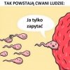 Jest tu jakiś cwaniak?