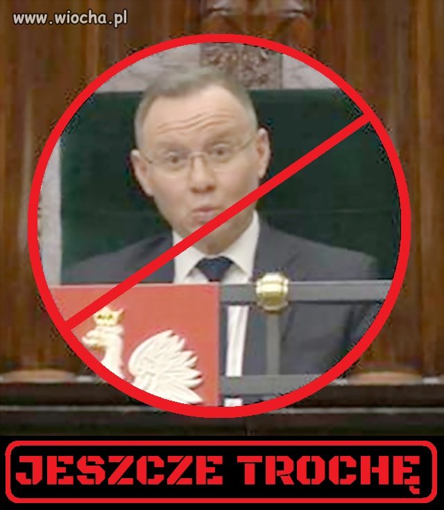 Damy radę