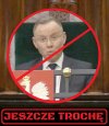Damy radę