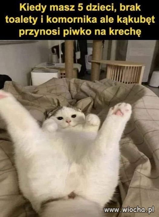 ...na dzieci daje państwo