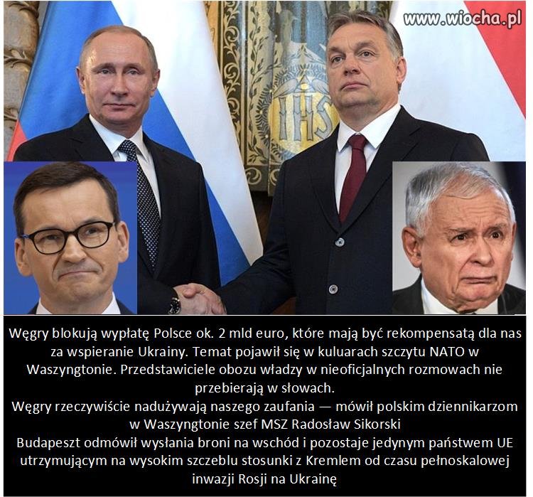 Orban, przyjaciel Kaczyńskiego i kundel Putina
