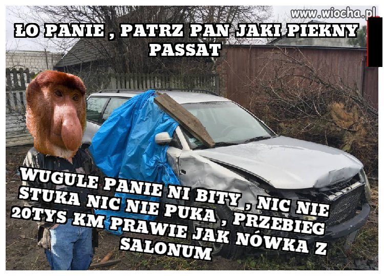 "Samochut igła Panie, nic nie klepane. Niemiec