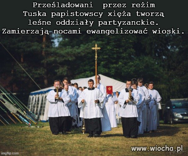 Uważajcie w borach, kniejach i lasach!