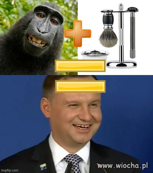 Przepraszam,