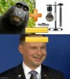 Przepraszam,