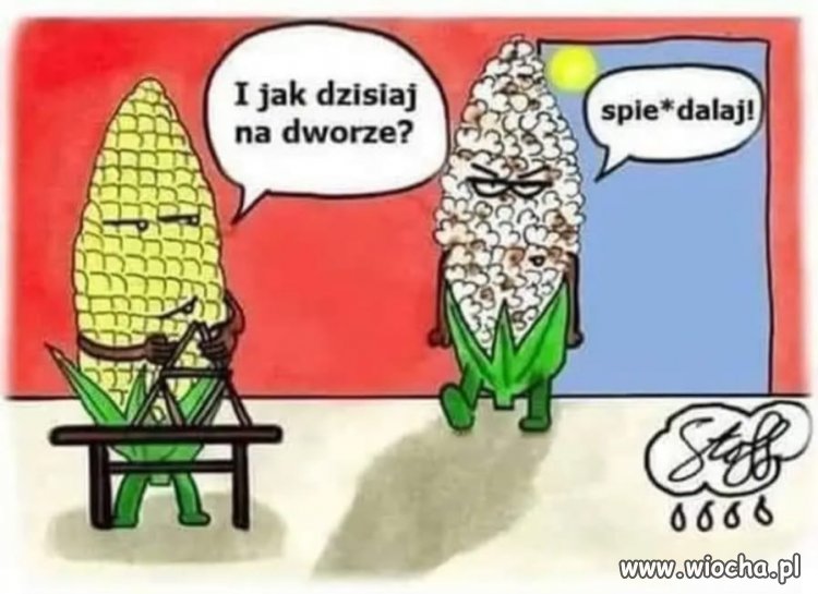 Taka, proszę ja ciebie 