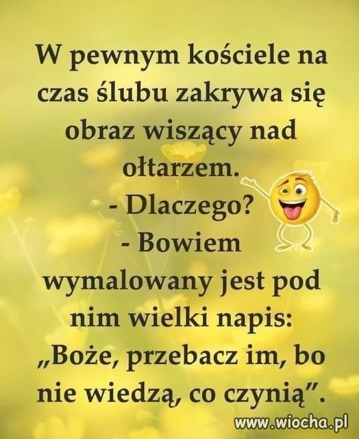 Bez komentarza 
