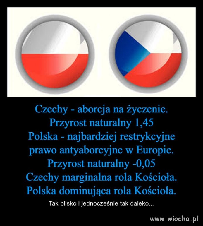Możemy tylko pozazdrościć. Czesi zmarginalizowali 