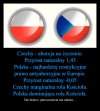 Możemy tylko pozazdrościć. Czesi zmarginalizowali 