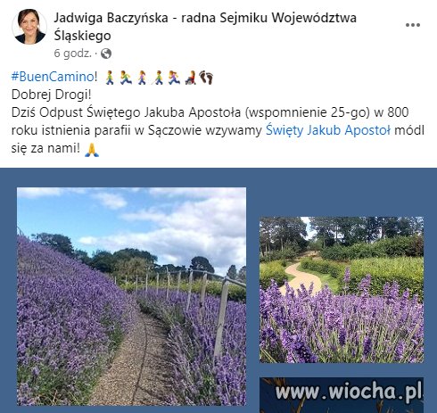 Co najlepiej robią politycy PiS ? 