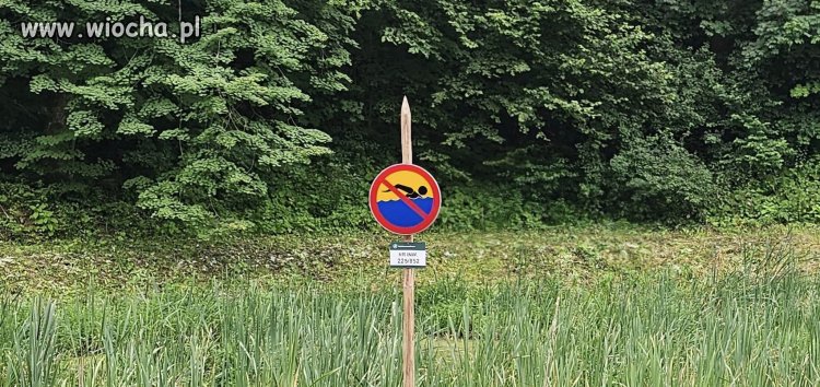 Absolutny zakaz pływania.