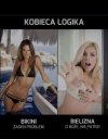 Kobieca logika - sprzeczność, niedorzeczność