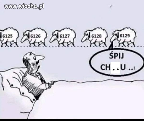 Nie masz co robić pajacu?