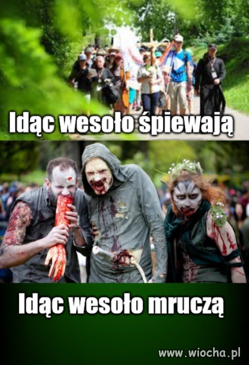 Kręcą kilometry w poszukiwaniu mózgu