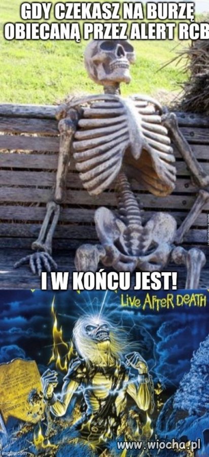 W końcu się spełniło