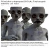 PiS stworzył sieć osób, które zajmują się atakami na rząd
