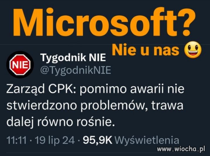 Ziemia po wyrębie lasu nadal w tym samym miejscu.