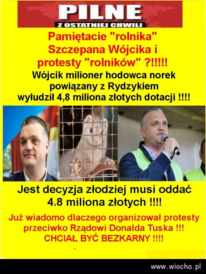 Oddawaj kasę złodzieju !