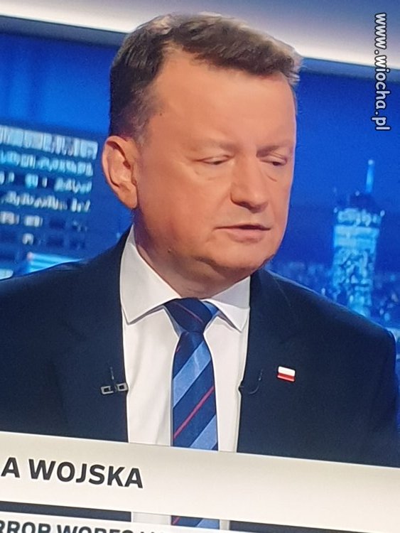Kuwety czyścić i koty doić 