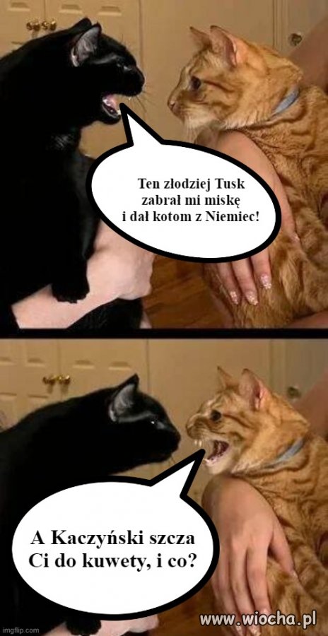 Jak przy rodzinnym stole