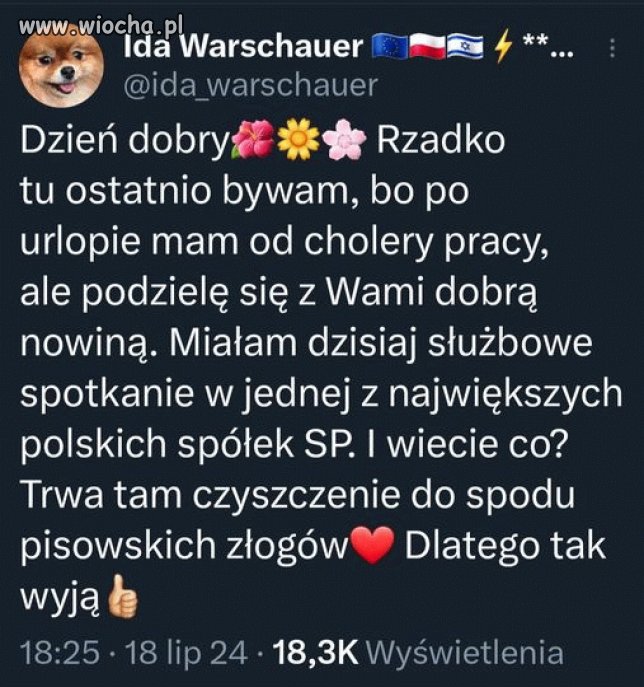 Słychać wycie, znakomicie