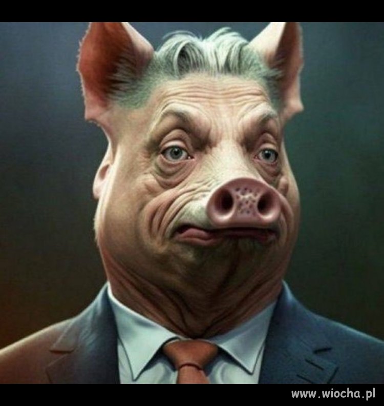 Bez komentarza 