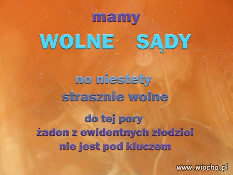 WOLNE   SĄDY