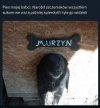 Pewnie uciekł po zasiłek do germanii.