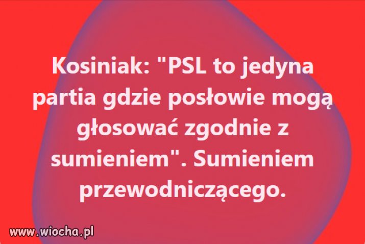 "Sumienie", fałsz, obłuda, hipokryzja, czyli rasowi katolicy.