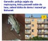 Wszystkiego zabraniają