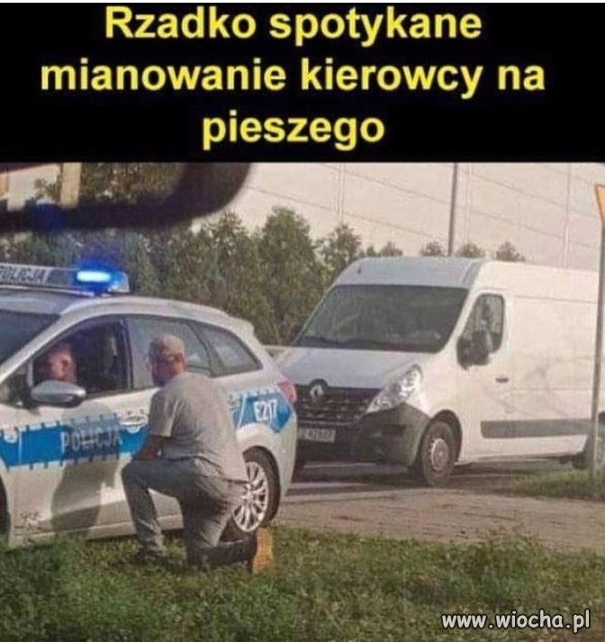 Na mocy nadanej mi przez urząd